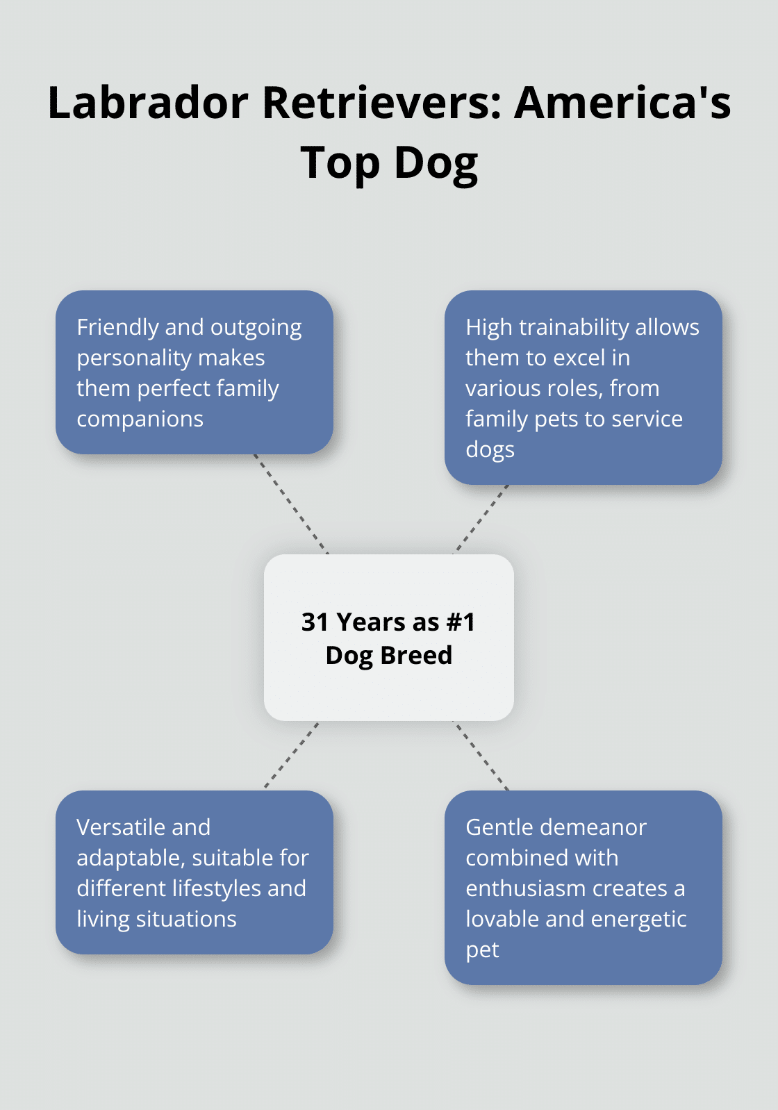 Hub and Spoke Διάγραμμα που δείχνει το Labrador Retrievers ως η πιο δημοφιλής φυλή σκύλου στις ΗΠΑ για 31 χρόνια, με βασικά χαρακτηριστικά ως ακτίνες - συμβουλές κατάρτισης σκυλιών εργαστηρίου