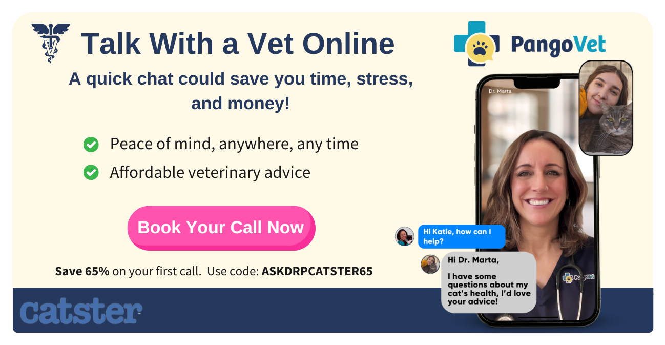 Pangovet_mention-in-content για pangovet
